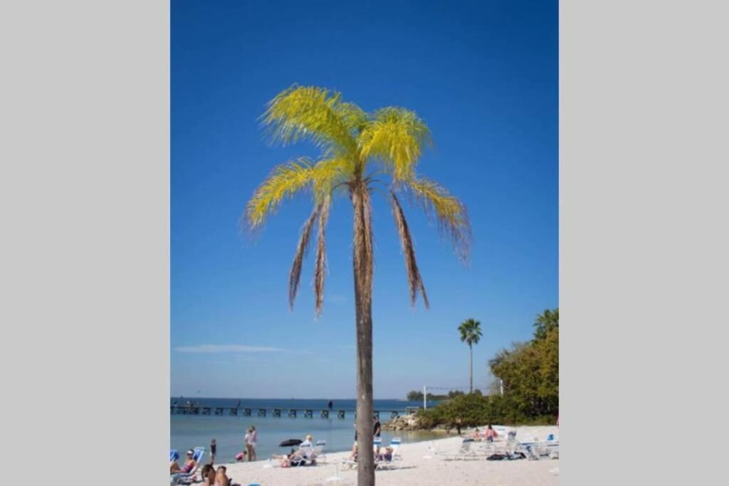 Little Harbor Resort #507 Tampa Bay Fl Beach, Riverview Romance Ruskin Exterior foto